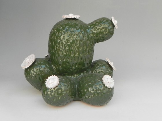 Cactus Boulder Av.